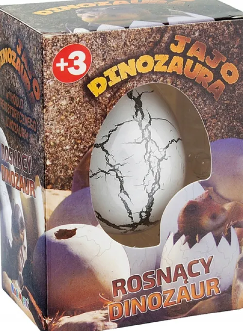 DINOZAUR ROSNĄCY WYKLUWAJĄCY Z JAJKA JAJKO JAJO
